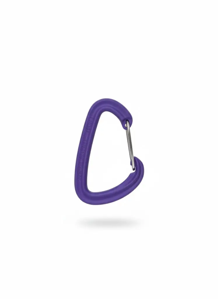 Carabiner Large