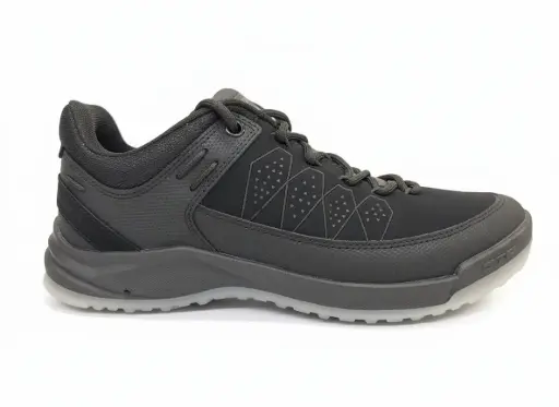 Coasters CTR Sherpa